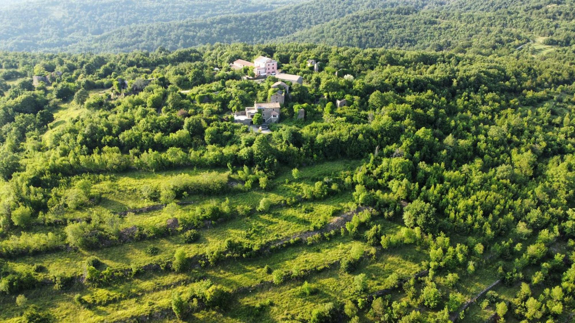 Casa Del Conte - Peaceful Hideaway In North Istria Villa Grožnjan Екстериор снимка